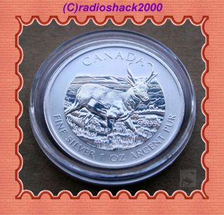 2013 Canadian Canada 5 Dollars 1 Ounce Silver Wildlife Series Pronghorn Antelope