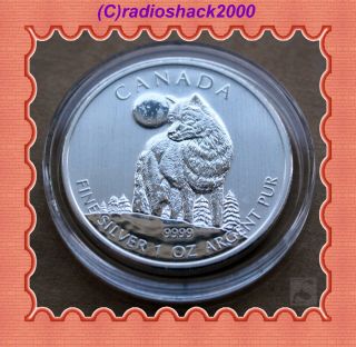 2011 Canadian Canada $5 Dollars 1 Ounce Silver Wildlife Series (timber Wolf)