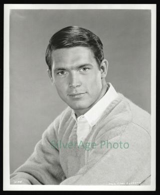 Vintage 1965 Chad Everett Studio Portrait Handsome 8x10 Metro - Goldwyn - Mayer