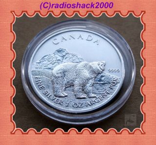 2011 Canadian Canada $5 Dollars 1 Ounce Silver Wildlife Series (grizzly Bear)