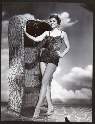Martha Hyer Sexy Actress Vint Orig Photo Leggy Swimsuit Pinup See