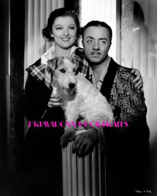Myrna Loy,  William Powell & Asta The Dog 8x10 Lab Photo 1941 " Thin Man " Portrait
