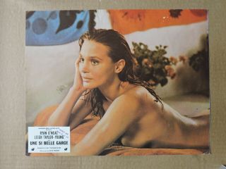 Leigh Taylor - Young Busty French Portrait Lobby Card 1969 The Big Bounce