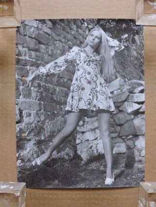 Monica Zinnenberg Leggy Fashion Pinup Portrait Photo 1960 