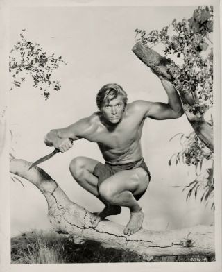 Denny Miller In A Loin Cloth 1959 Portrait Tarzan,  The Ape Man