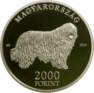 Hungary 2000 Forint Coin 2020 Komondor Shepherd Dog Reverse Proof Unc In Capsule
