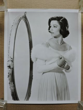 Paula Prentiss By A Mirror Busty Glamour Portrait Photo 1961 Mgm