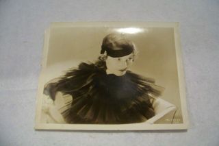 Elizabeth Allan Mgm Movie Star Actress Studio Photograph 8 X 10 Art Deco Outfit
