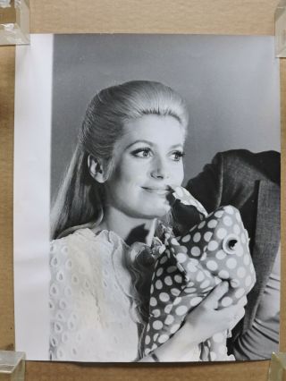 Catherine Deneuve With A Stuffed Frog Candid Portrait Photo 1968