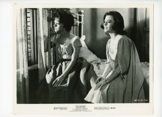 West Side Story Movie Still 8x10 Natalie Wood 1968 Rerelease 7285