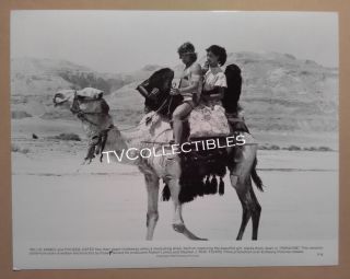 8x10 Photo Paradise 1982 Willie Aames Phoebe Cates Camel