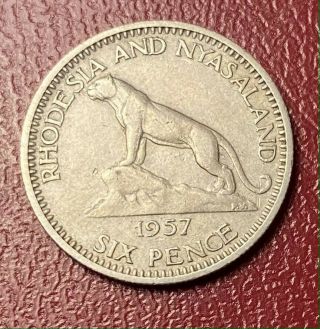 Rhodesia And Nyasaland 6 Pence 1957 - British African Colony Coin - Rare