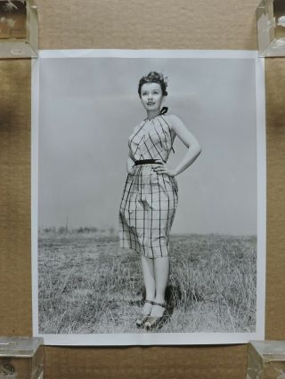 Mary Anderson Leggy Candid Fashion Portrait Photo 1944