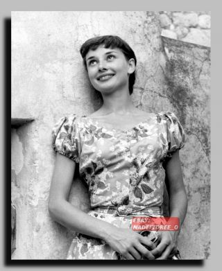 Hv - 1067 Audrey Hepburn Legendary Actress Great Rare Sexy Pin Up 8x10 Photo