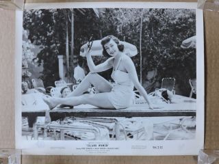 Marie Windsor On A Diving Board Leggy Swimsuit Portrait Photo 1958 Island Women