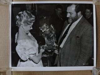 Mary Ure And James Robertson Justice With An Eagle Orig Busty Candid Photo 1955