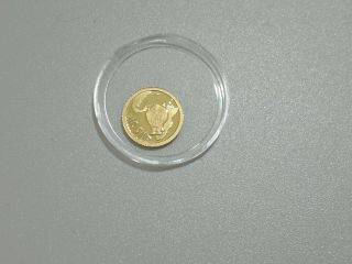 2013 Congo Rhinoceros Gold 0.  5 Gram 999 Proof