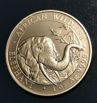2018 1 Oz Somalia Silver Elephant Coin - African Wildlife - Bu -.  9999 Fine
