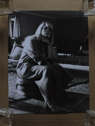 Catherine Deneuve Candid Portrait Photo 1965 Repulsion - Polanski 3