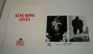 1986 King Kong Lives Promo Movie Press Kit 10 Photos Linda Hamilton Brian Kerwin