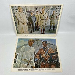Vintage 1962 Lawrence Of Arabia Lobby Cards Peter O 