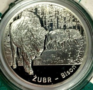 2013 Poland Silver Coin 20 Złotych Żubr European Bison Bonasus _36