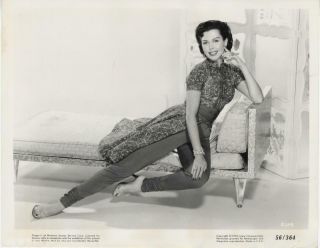 " The Opposite Sex " - Photo - Ann Miller - Sexy Shot - On Couch