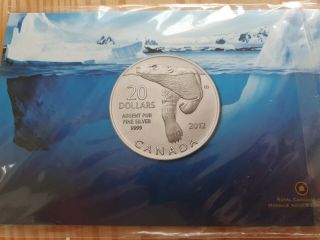 2012 Canada Silver $20 Dollar Polar Bear Coin On Card With
