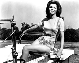 Pamela Tiffin Sexy 1960 
