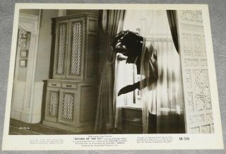 Return Of The Fly Orig 1959 Set Of 3 Scene Stills 8 " X10 " All Show The Fly