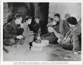 Movie Photos (6),  The Guns Of Navarone,  1961,  Gregory Peck,  Anthony Quinn,  Etc