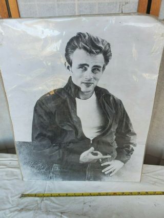 Rare 1989 James Dean Co.  Poster Rebel With A Cause Black And White 16x20
