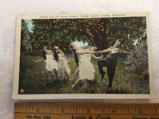 Antique California Postcard Co.  Charlie Chaplin Studios Wood Nymphs Hollywood