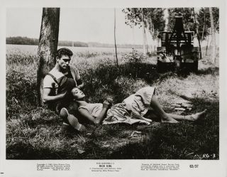 Elsa Martinelli & Rik Battaglia In The Grass 1956 Italian Film Photo