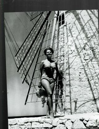 8x10 B & W Photo Of - Claudia Cardinale - Sexy In Bikini - Hot
