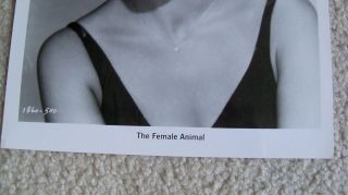 Jane Powell photo The Female Animal 3