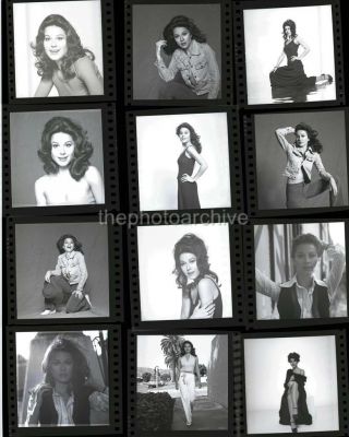 Sherry Jackson Embossed Contact Sheet 11x14 Photo By Harry Langdon 2b