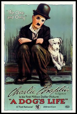 A Dogs Life Fridge Magnet 6x8 Charlie Chaplin Vintage Movie Poster Canvas Print