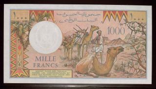 Djibouti 1991 1000 Francs Unc | P 33c | Thin Paper | Camel | Cv$42 (bn11123)