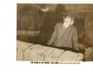 Return Of The Vampire 1943 35 " Bela Lugosi,  " Matt Willis Snipe Fantasy Horror