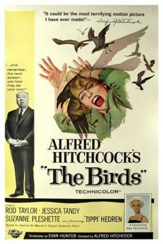The Birds Movie Poster - Alfred Hitchcock Vintage