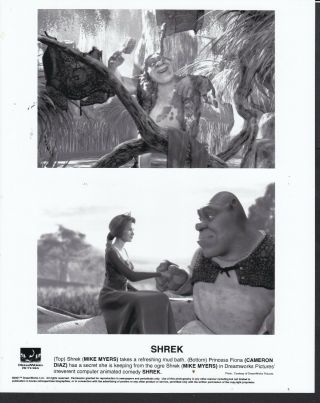 Shrek And Princess Fiona In Shrek 2001 Cartoon Movie Photo 29877