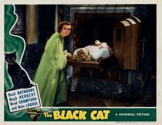 Classic The Black Cat Movie Poster 8x10 Photo 3