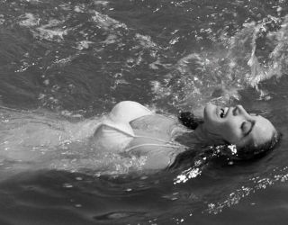 Creature From The Black Lagoon Julie Adams 8x10 Photo 1