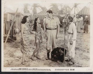Carol Thurston And Johnny Weissmuller In Killer Ape 1953 Movie Photo 32850