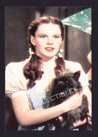 4x6 Postcard The Wizard Of Oz 1989 Judy Garland Toto 105 - 205