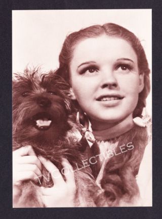 4x6 Postcard The Wizard Of Oz 1989 Judy Garland As Dorothy Toto 136 - 061