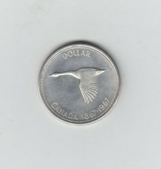 Canada Elizabeth Ii Silver (. 800) Dollar,  Abu,  Usual Bag Marks