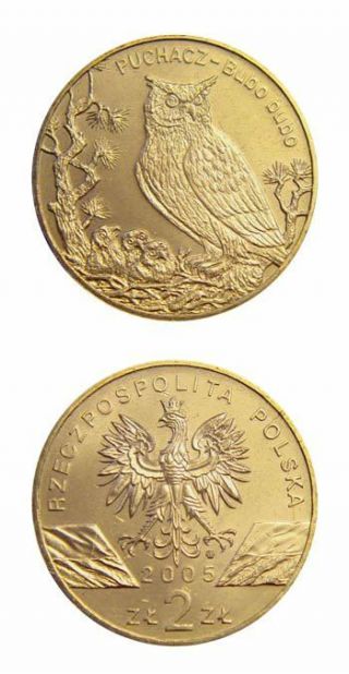 Poland Bubo Bubo Owl Coin 2005 2 Zlote Nordic Gold Coin