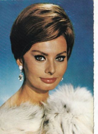 Sophia Loren - Hollywood Movie Star/actress Glamour 1950s Fan Postcard